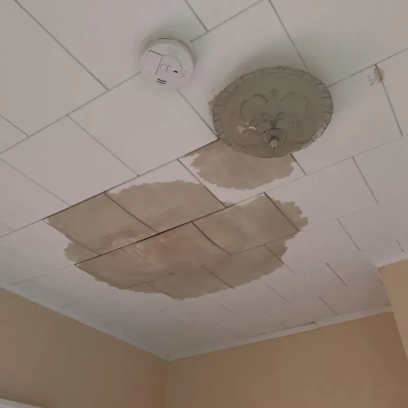 Ceiling Water Damage Repair in Cedar County, NE