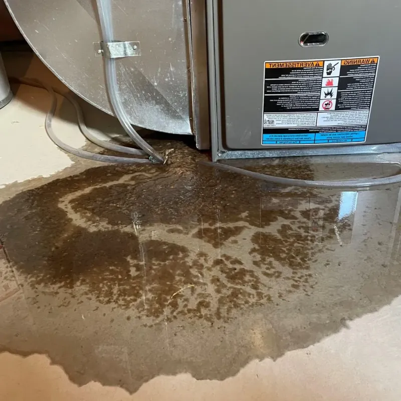 Pipe Burst and Leak Restoration in Cedar County, NE