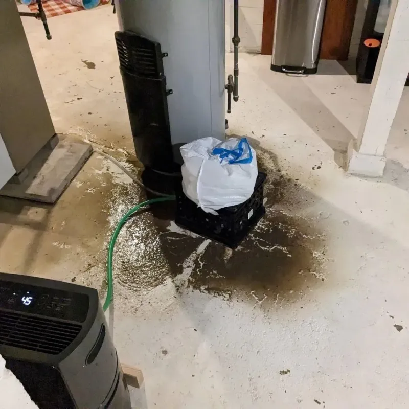 Sewage Backup Cleanup Service in Cedar County, NE